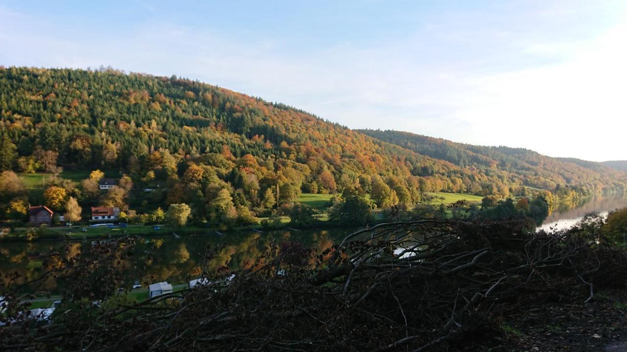 Fewo Am Neckarsteig Mit Anbindung An Heidelberg Neckarsteinach Exteriér fotografie