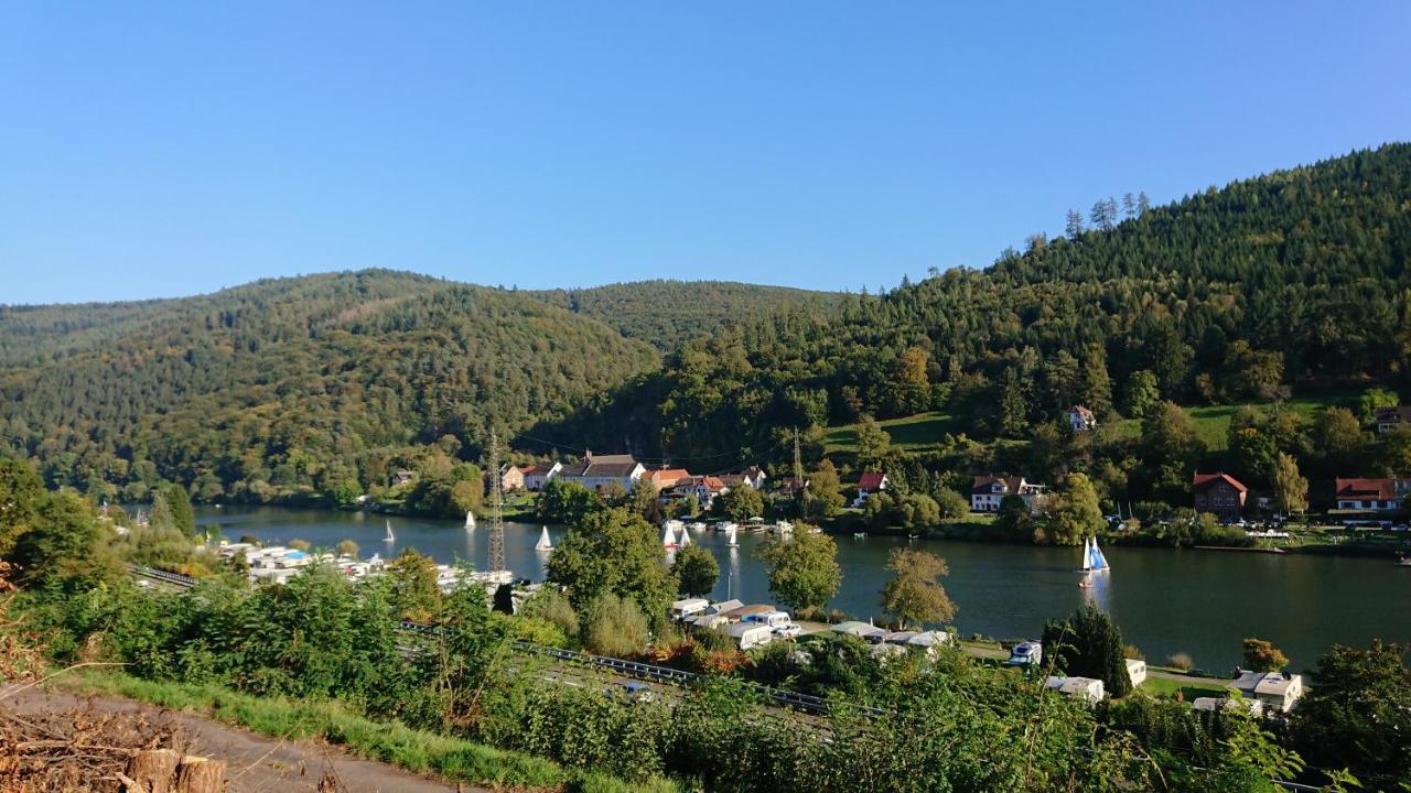Fewo Am Neckarsteig Mit Anbindung An Heidelberg Neckarsteinach Exteriér fotografie