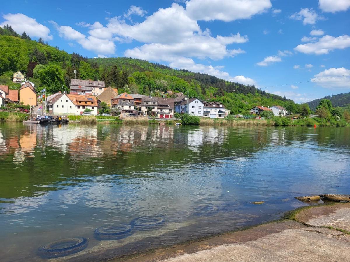 Fewo Am Neckarsteig Mit Anbindung An Heidelberg Neckarsteinach Exteriér fotografie