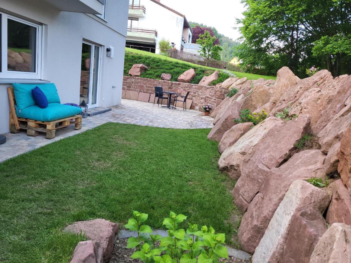 Fewo Am Neckarsteig Mit Anbindung An Heidelberg Neckarsteinach Exteriér fotografie
